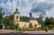 Церковь Преображения Господня, , Старый Спас (Староспасский погост), урочище, Чеховский городской округ, Московская область