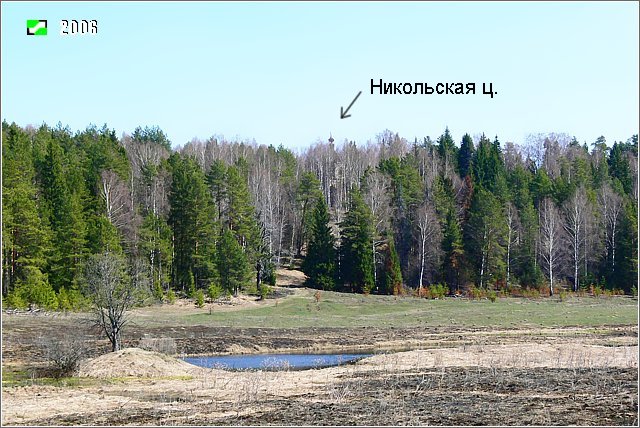 Озёрки (погост Николо-Дебри). Церковь Николая Чудотворца. дополнительная информация, Панорама урочища, на лесистой возвышенности, в густой чаще расположена Никольская церковь. Вид с северо-запада от бывшей деревни Озерки