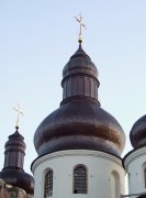 Церковь Спаса Преображения - Нежин - Нежинский район - Украина, Черниговская область