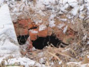 Церковь Казанской иконы Божией Матери - Суково - Ступинский городской округ - Московская область