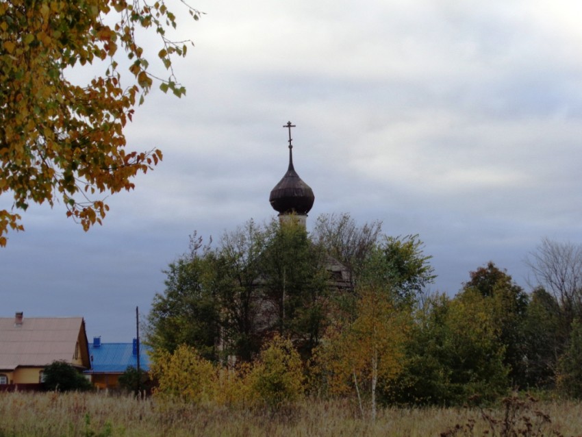Церковь Николая Чудотворца, Кувезино (Ковровский район и г. Ковров, Владимирская область). фасады, Церковь совершенно заросла. Видимо, шансов на восстановление никаких(