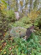 Погост Венец. Преображения Господня, церковь