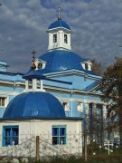 Донской. Преображения Господня на Бобрик-Горе, церковь