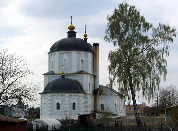 Церковь Николая Чудотворца, Васютино (Павлово-Посадский городской округ и г. Электрогорск, Московская область). фасады, 		      