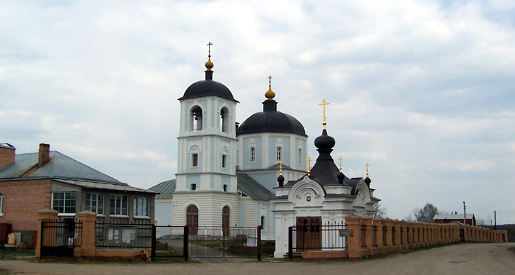 Церковь Николая Чудотворца, Васютино (Павлово-Посадский городской округ и г. Электрогорск, Московская область). фасады, общий вид церковной усадьбы с юго-запада		      