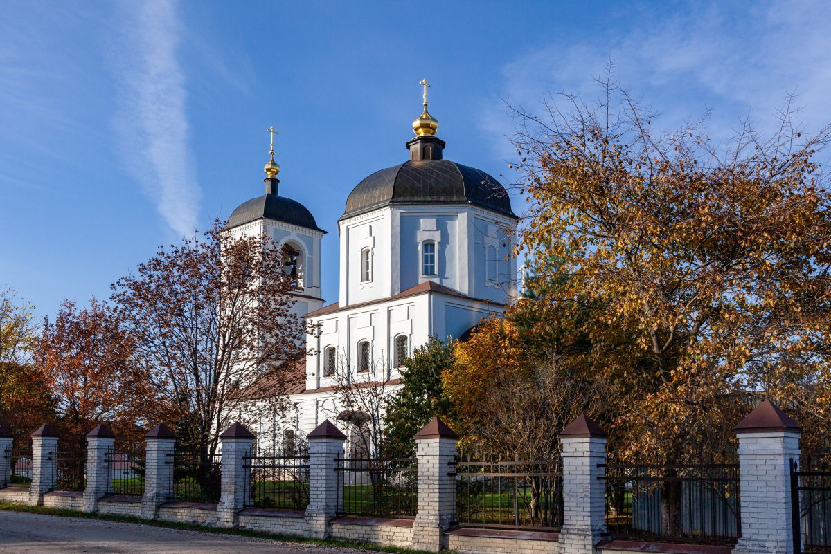 Церковь Николая Чудотворца, Васютино (Павлово-Посадский городской округ и г. Электрогорск, Московская область). фасады