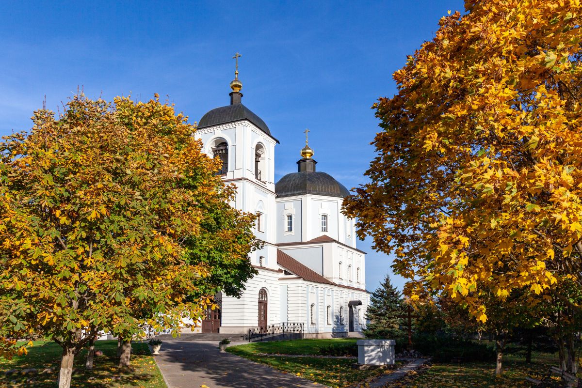 Церковь Николая Чудотворца, Васютино (Павлово-Посадский городской округ и г. Электрогорск, Московская область). архитектурные детали