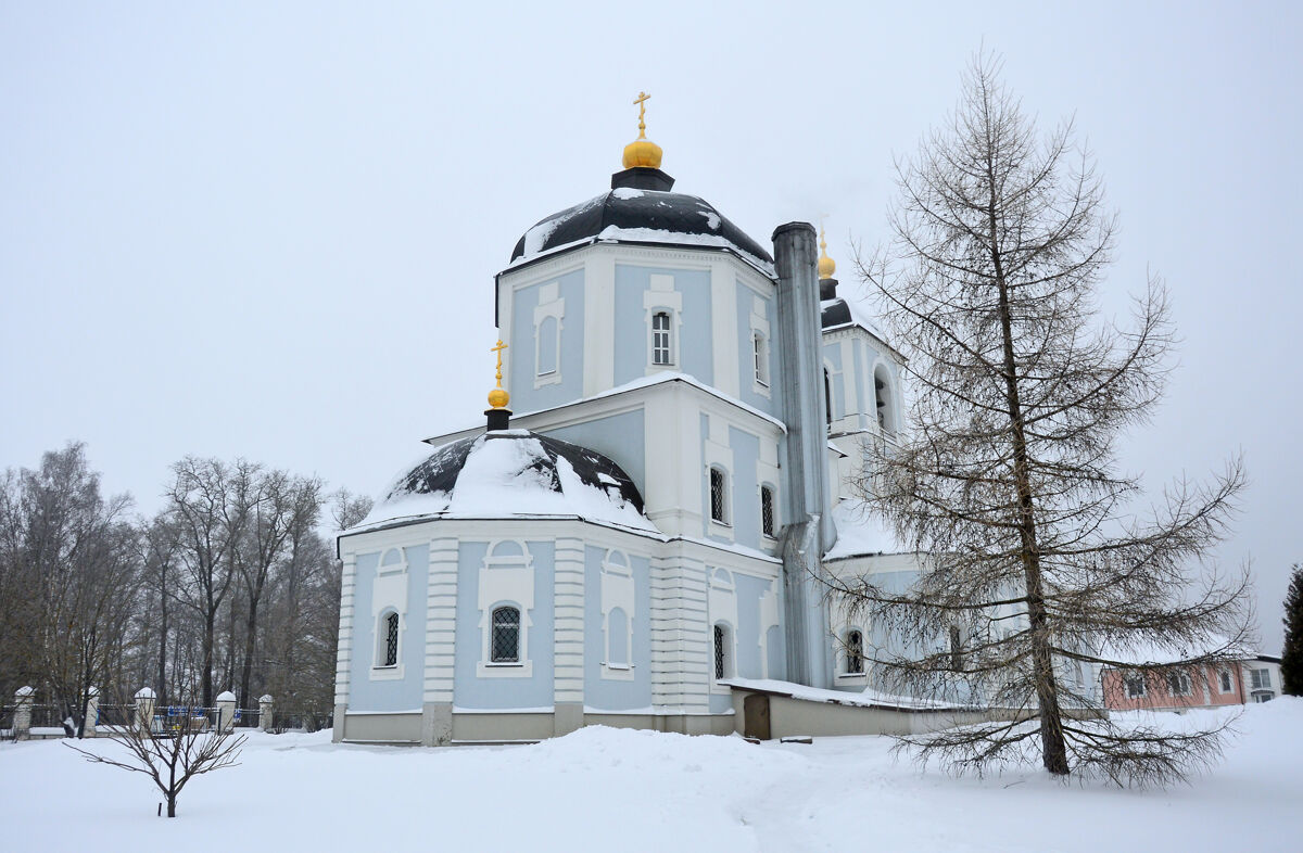 Церковь Николая Чудотворца, Васютино (Павлово-Посадский городской округ и г. Электрогорск, Московская область). фасады