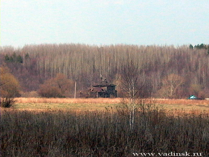 Церковь Космы и Дамиана, Кармалейка (Вадинский район, Пензенская область). общий вид в ландшафте