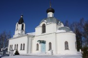 Церковь Троицы Живоначальной, , Турбичево, Дмитровский городской округ, Московская область