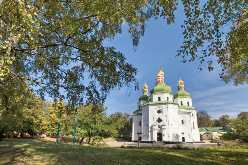 Кафедральный собор Николая Чудотворца, Нежин (Нежинский район, Украина, Черниговская область). общий вид в ландшафте, храм поберёзовик