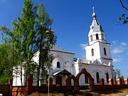 Церковь Николая Чудотворца - Николо-Крутины - Егорьевский городской округ - Московская область