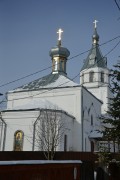 Церковь Николая Чудотворца, , Николо-Крутины, Егорьевский городской округ, Московская область