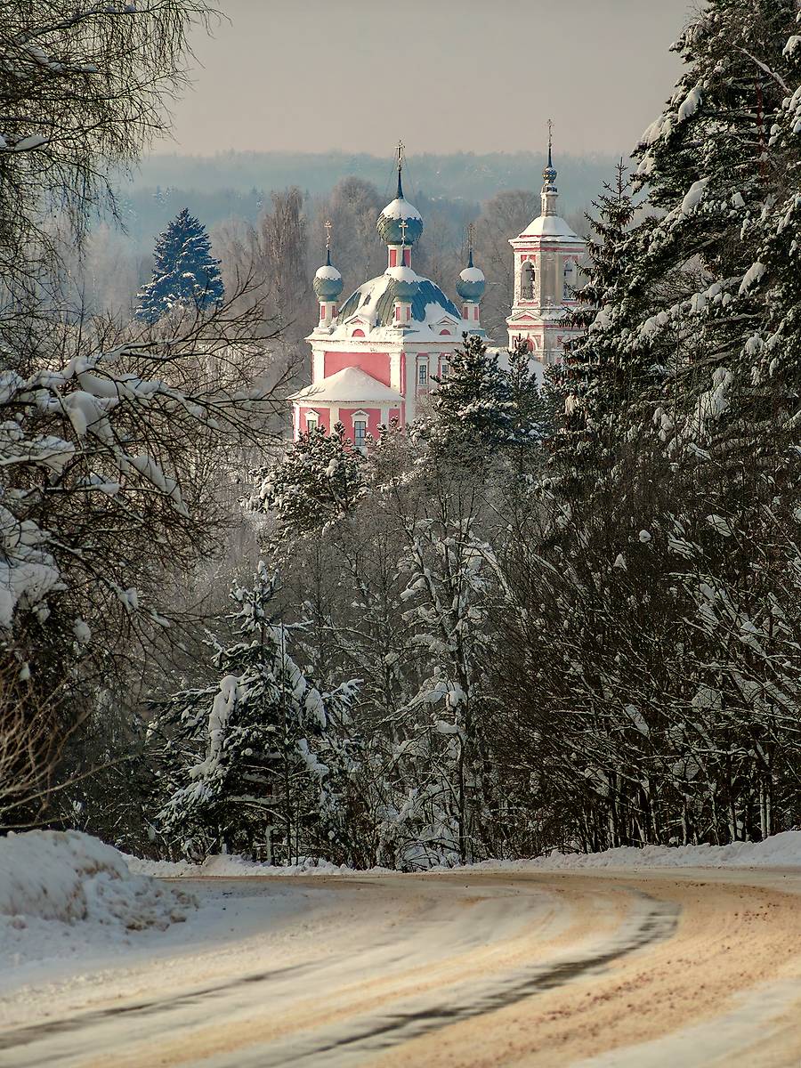 общий вид в ландшафте. Церковь Андрея Стратилата, Андреевское на Лиге (Борисоглебский район, Ярославская область)