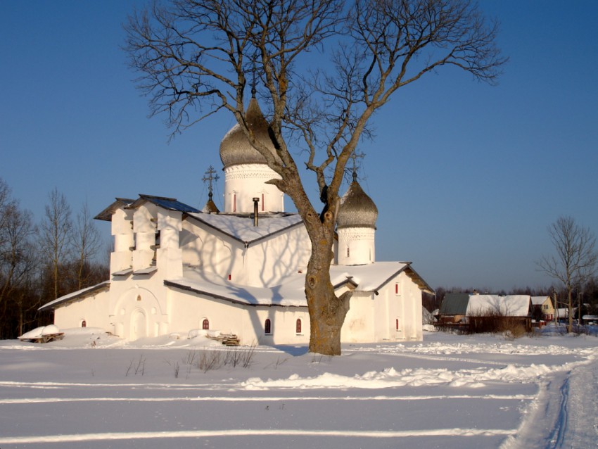 Церковь Троицы Живоначальной, Доможирка (Гдовский район, Псковская область). фасады