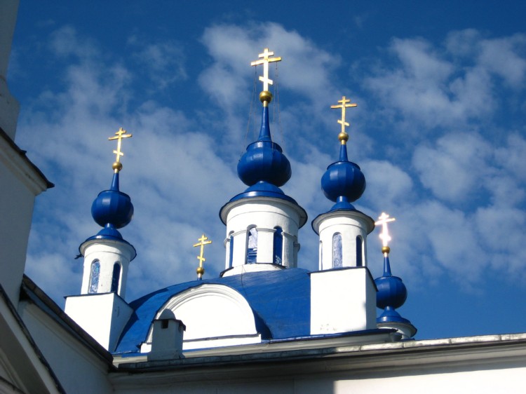 Церковь Илии Пророка, Мамонтово (Богородский городской округ, Московская область). архитектурные детали, Купола церкви