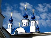 Церковь Илии Пророка, Купола церкви<br>, Мамонтово, Богородский городской округ, Московская область