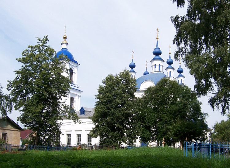 Церковь Илии Пророка, Мамонтово (Богородский городской округ, Московская область). фасады