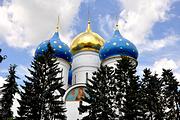 Троице-Сергиева Лавра. Собор Успения Пресвятой Богородицы, Купола храма<br>, Сергиев Посад, Сергиево-Посадский городской округ, Московская область