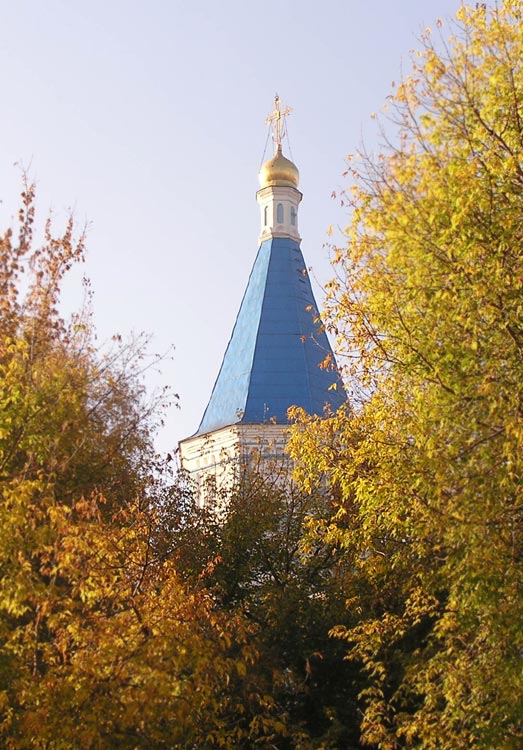Церковь Рождества Христова, Беседы (Ленинский городской округ, Московская область). архитектурные детали
