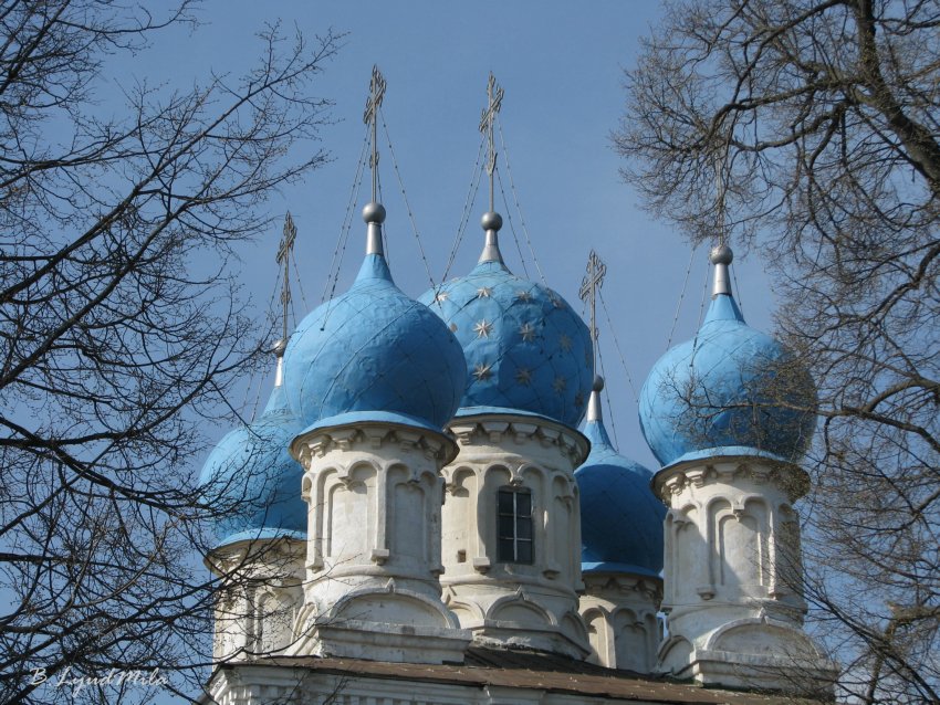 Зелёная Слобода. Церковь Покрова Пресвятой Богородицы. архитектурные детали