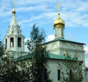 Церковь Троицы Живоначальной, , Заворово, Раменский район и гг. Бронницы, Жуковский, Московская область