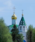 Церковь Троицы Живоначальной, , Заворово, Раменский район и гг. Бронницы, Жуковский, Московская область