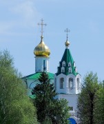 Церковь Троицы Живоначальной - Заворово - Раменский район и гг. Бронницы, Жуковский - Московская область