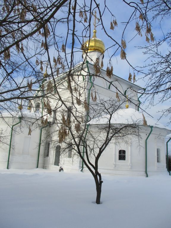 Заворово. Церковь Троицы Живоначальной. архитектурные детали, вид на алтарную часть