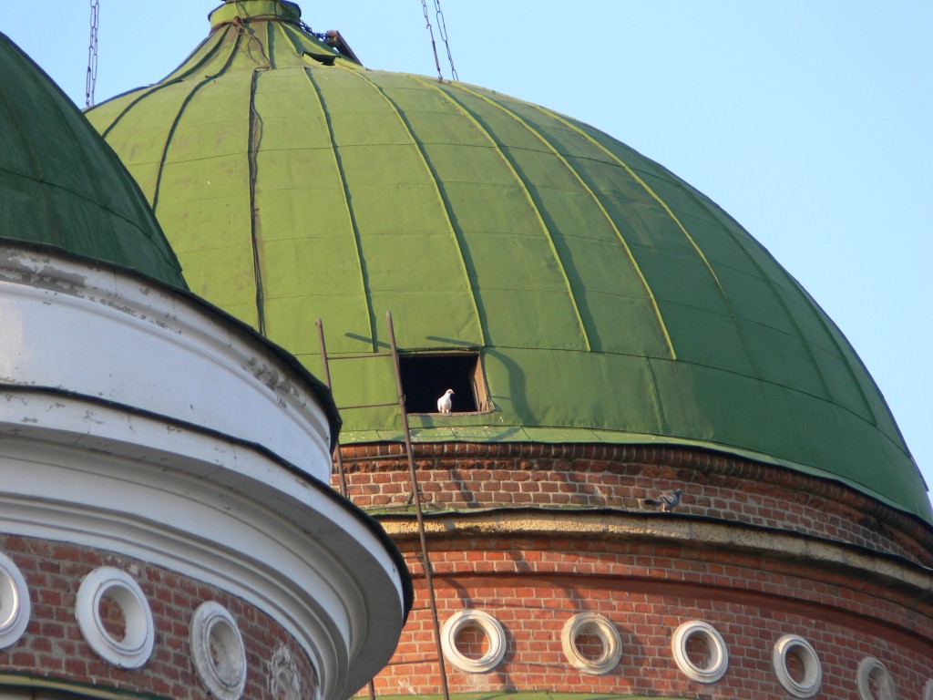 Церковь Александра Невского (новая), Новочеркасск (Новочеркасск, город, Ростовская область). архитектурные детали, голубь!