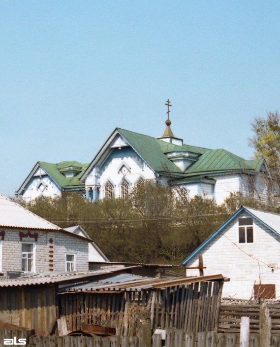 Церковь Рождества Христова, Боровая (Чугуевский район, Украина, Харьковская область). общий вид в ландшафте