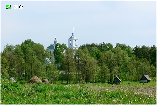 Церковь Преображения Господня, Цикуль (Гусь-Хрустальный район и г. Гусь-Хрустальный, Владимирская область). общий вид в ландшафте, Панорама с северо-запада