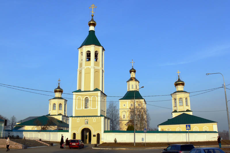 Иоанно-Богословский Макаровский мужской монастырь, Макаровка (Саранск, город, Республика Мордовия). общий вид в ландшафте