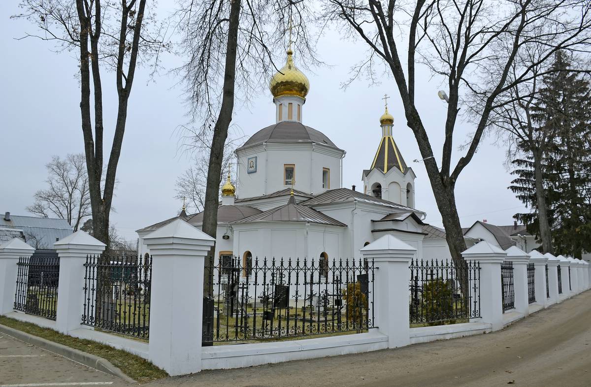 общий вид в ландшафте. Церковь Спаса Всемилостивого, Андреевка (Солнечногорский городской округ, Московская область)