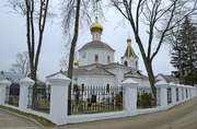 Церковь Спаса Всемилостивого - Андреевка - Солнечногорский городской округ - Московская область