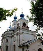 Церковь Рождества Пресвятой Богородицы, , Тарычево, Ленинский городской округ, Московская область