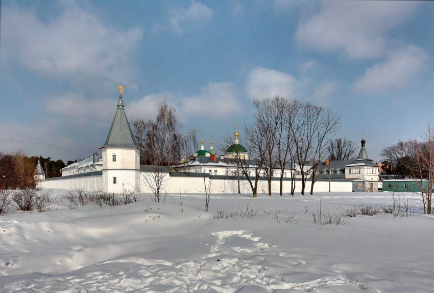 Екатерининский монастырь, Видное (Ленинский городской округ, Московская область). общий вид в ландшафте