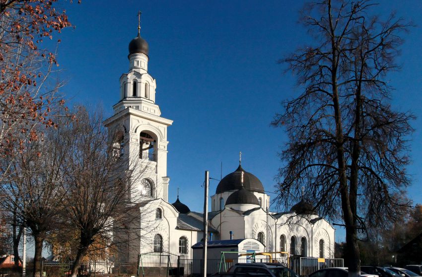 Церковь Троицы Живоначальной, Электроугли (Богородский городской округ, Московская область). общий вид в ландшафте