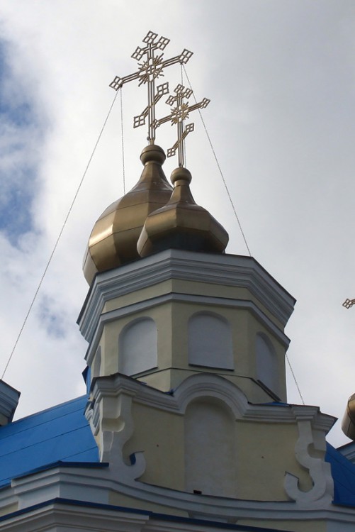 Церковь Петра и Павла, Голино (Шимский район, Новгородская область). архитектурные детали