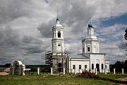 Церковь Рождества Пресвятой Богородицы - Брынь - Сухиничский район - Калужская область