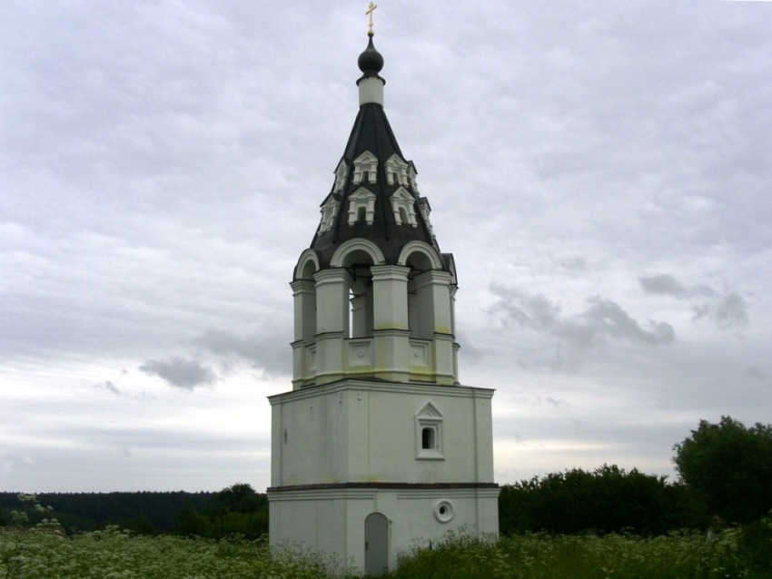 Церковь Илии Пророка, Ильинское (Жуковский район, Калужская область). дополнительная информация, вид с юго-запада