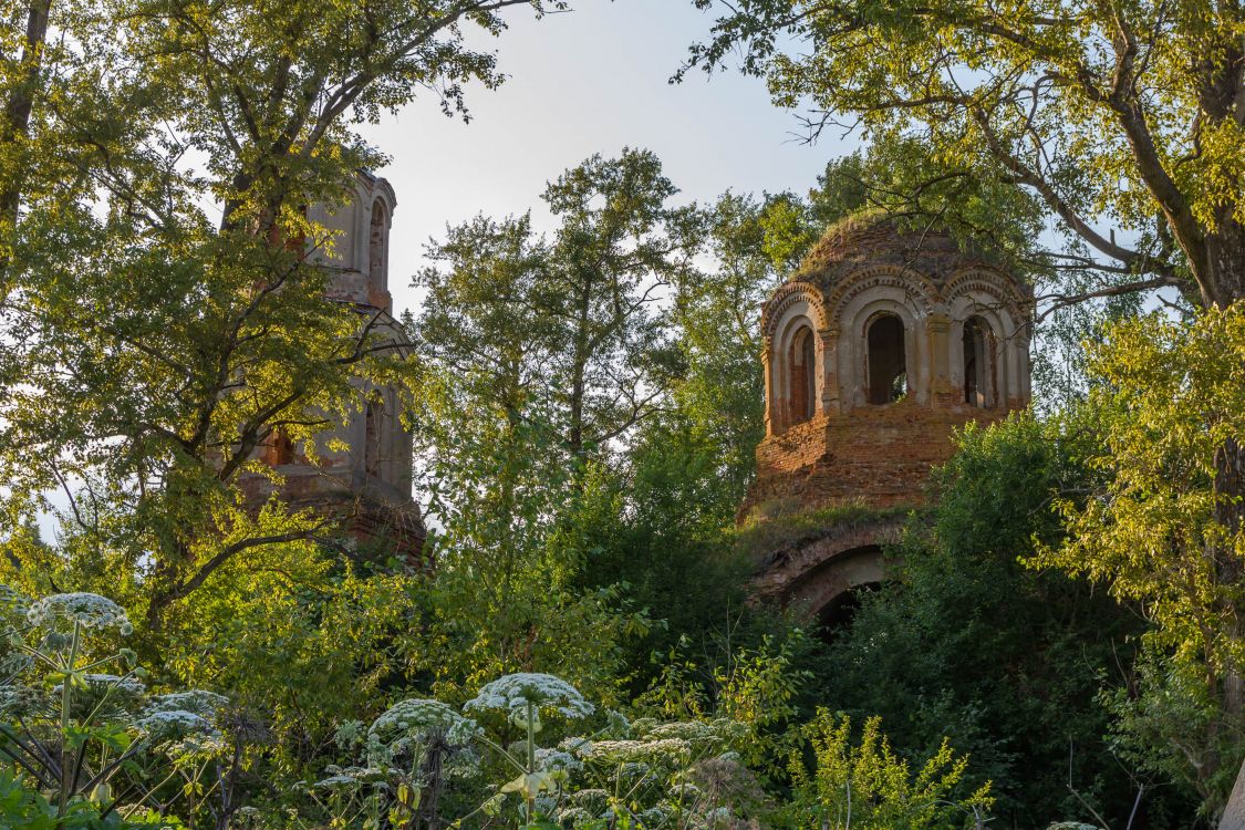 Церковь Никиты мученика, Казариново (Малоярославецкий район, Калужская область). фасады, Храм зарастает