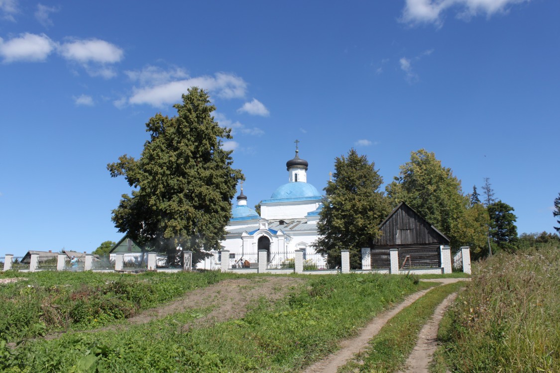 Давыдовское. Церковь Покрова Пресвятой Богородицы. общий вид в ландшафте, Вид с  запада