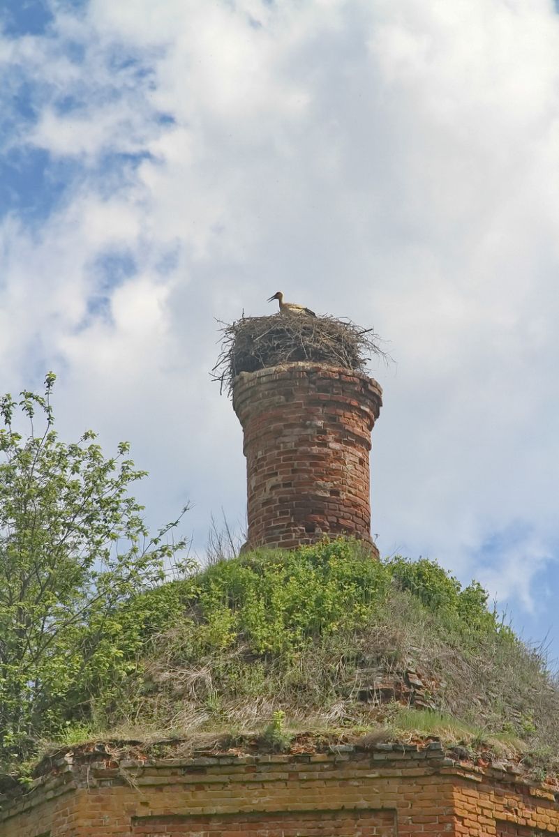 Церковь Космы и Дамиана, Клетино (Мещовский район, Калужская область). архитектурные детали