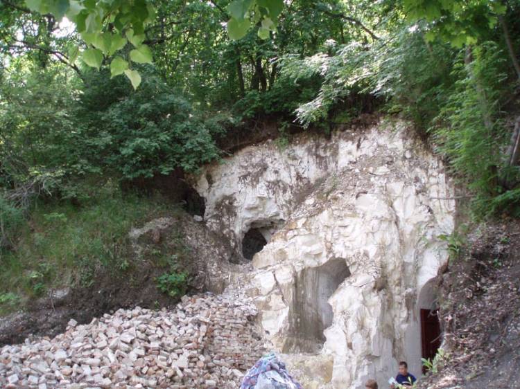 Белогорский Воскресенский монастырь, Кирпичи (Белогорье) (Подгоренский район, Воронежская область). фасады