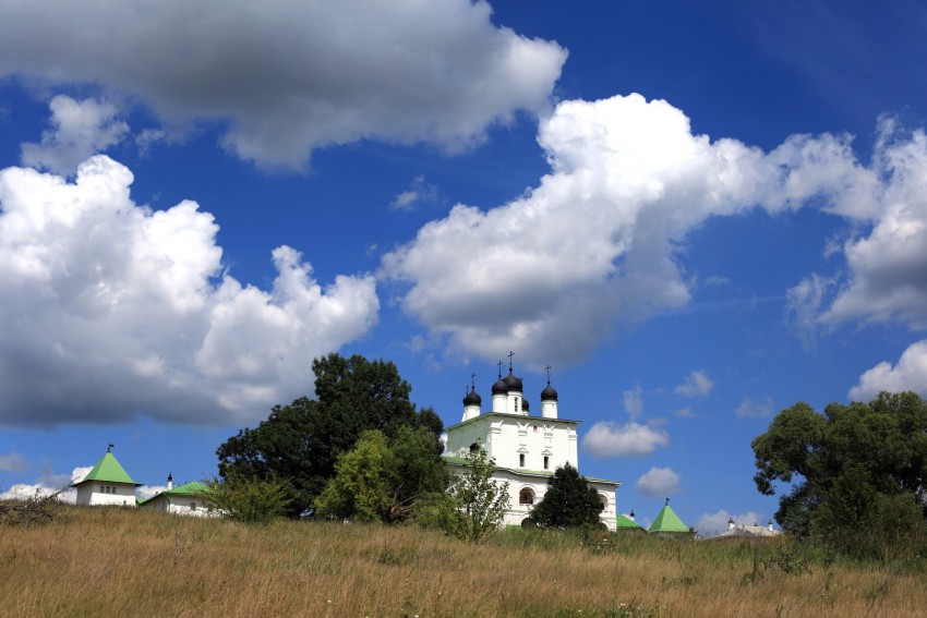 Богородице-Рождественский Анастасов монастырь, Анастасово (Одоевский район, Тульская область). общий вид в ландшафте