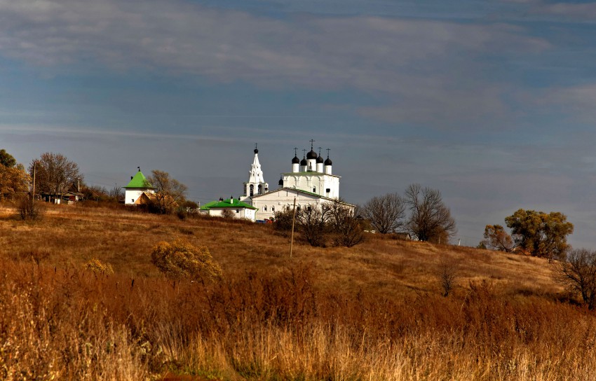 Анастасово. Богородице-Рождественский Анастасов монастырь. общий вид в ландшафте