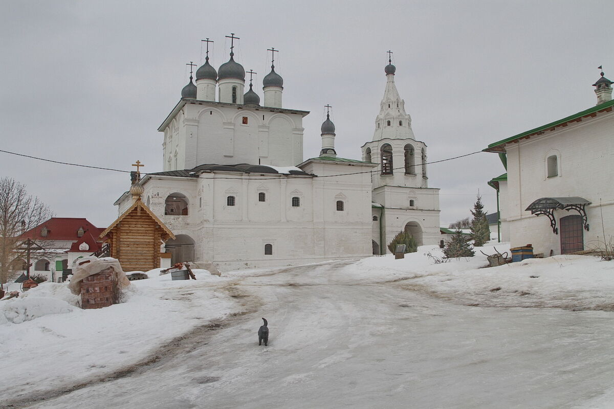 Анастасово. Богородице-Рождественский Анастасов монастырь. фасады