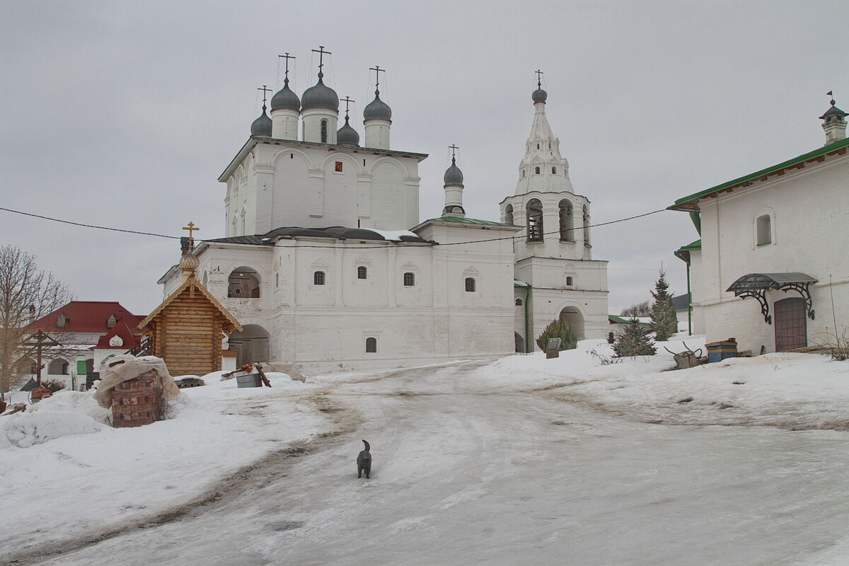 Богородице-Рождественский Анастасов монастырь, Анастасово (Одоевский район, Тульская область). фасады