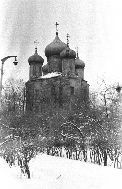 Донской. Донской монастырь.  Большой собор Донской иконы Божией Матери. архивная фотография, Вид на Большой Донской собор с входной аллеи монастыря